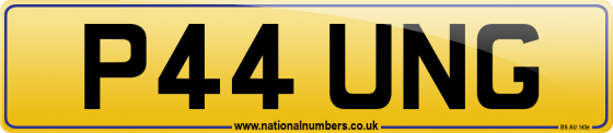 P44 UNG
