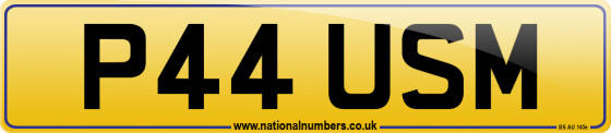 P44 USM