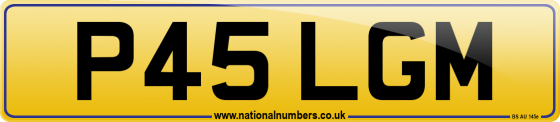 P45 LGM
