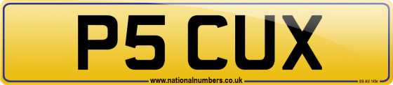 P5 CUX