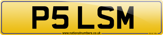 P5 LSM