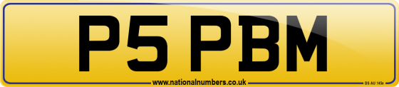P5 PBM