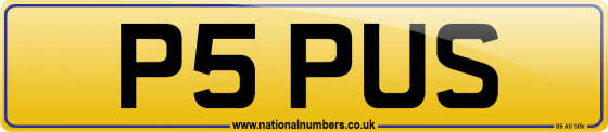 P5 PUS