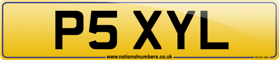 P5 XYL
