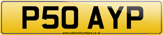 P50 AYP