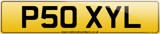 P50 XYL
