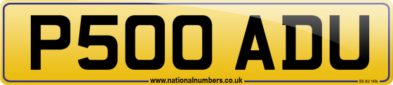 P500 ADU