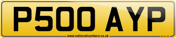 P500 AYP