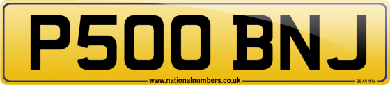 P500 BNJ