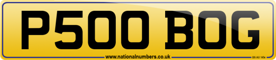 P500 BOG