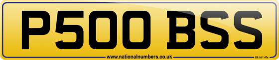 P500 BSS