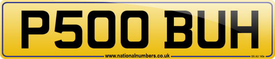 P500 BUH