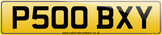 P500 BXY