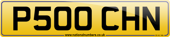 P500 CHN
