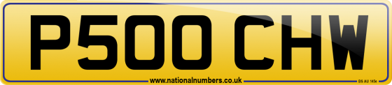 P500 CHW
