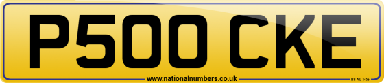 P500 CKE