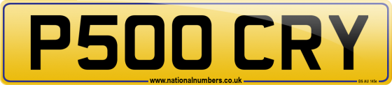 P500 CRY