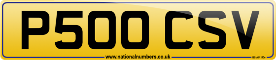P500 CSV