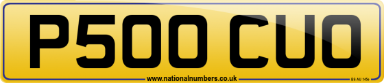 P500 CUO