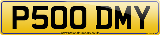 P500 DMY