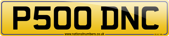 P500 DNC