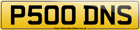 P500 DNS