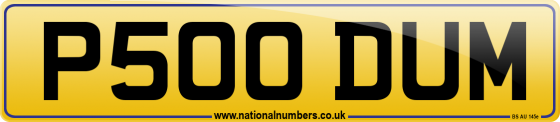 P500 DUM