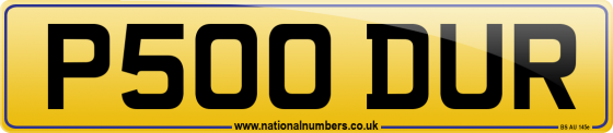 P500 DUR