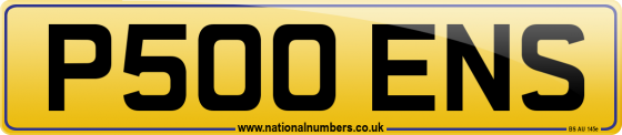 P500 ENS