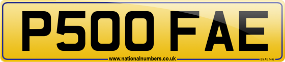 P500 FAE