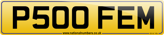 P500 FEM