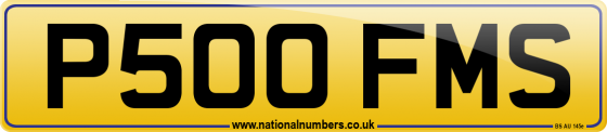 P500 FMS