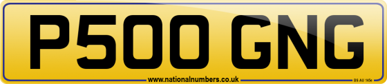 P500 GNG