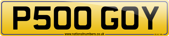 P500 GOY