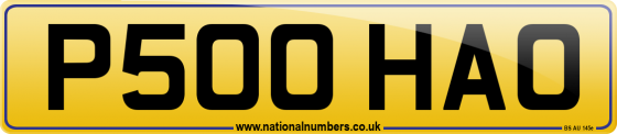 P500 HAO