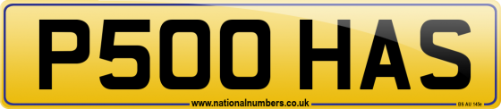 P500 HAS