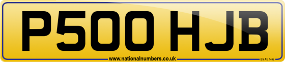 P500 HJB