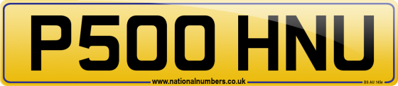 P500 HNU