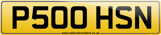 P500 HSN