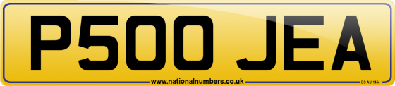 P500 JEA