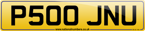 P500 JNU