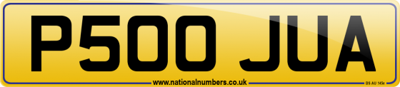 P500 JUA