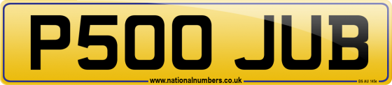 P500 JUB