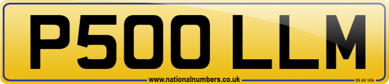 P500 LLM