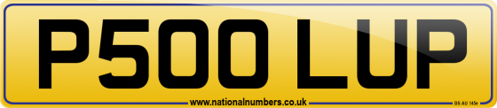 P500 LUP