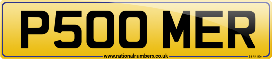P500 MER