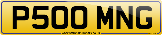 P500 MNG