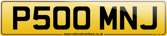 P500 MNJ