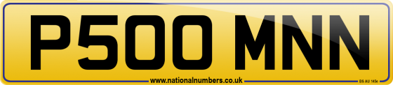 P500 MNN