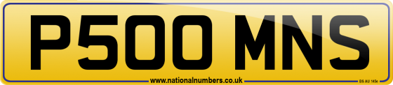 P500 MNS